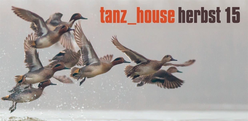 tanz_house herbst 15 – Eröffnung am 18.10.2015 um 19:30 Uhr