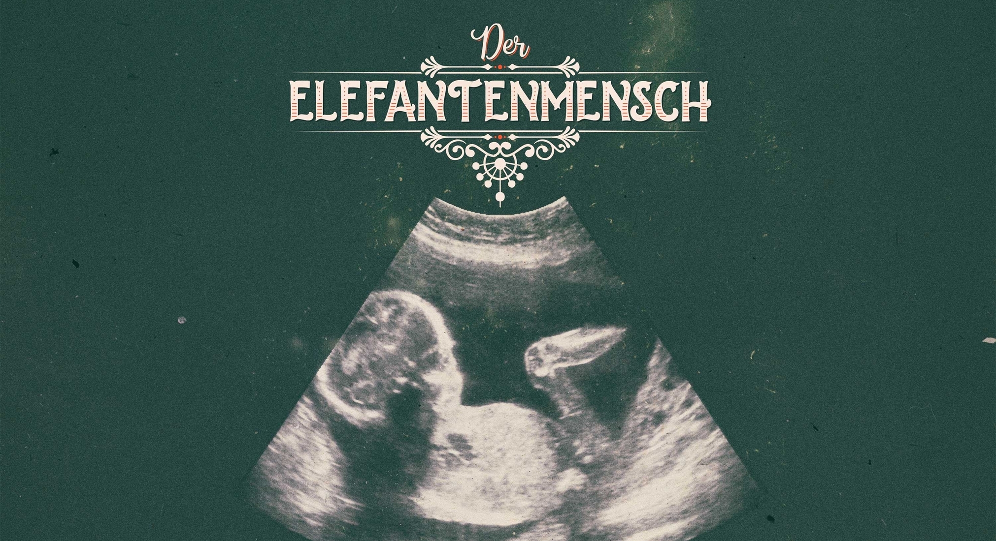 DER ELEFANTENMENSCH - ABGESAGT! am 24.3.2020 um 19:30 Uhr