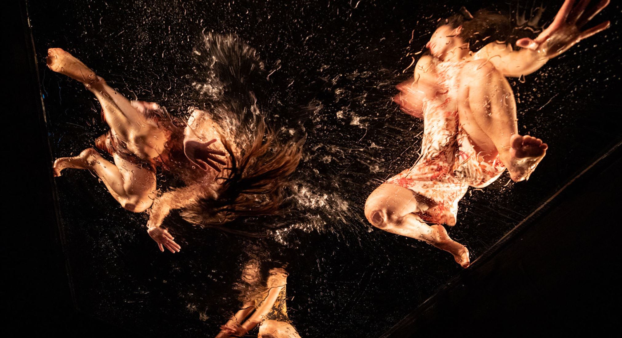 editta braun company: PROXIMITY am 12.10.2024 um 18:00 Uhr