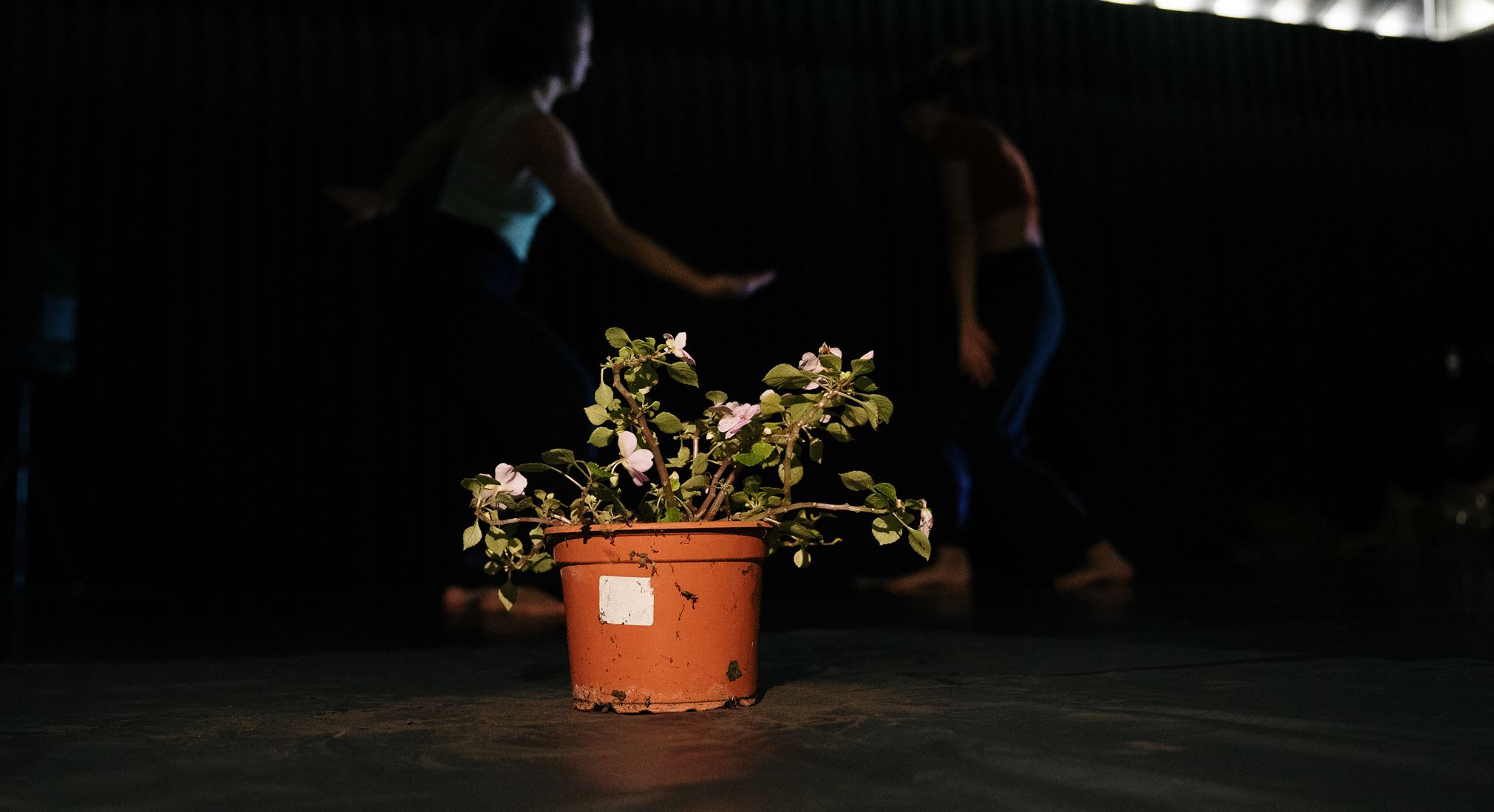 Potpourri Dance: DARLING, YOU ARE DIFFERENT am 16.10.2025 um 18:00 Uhr