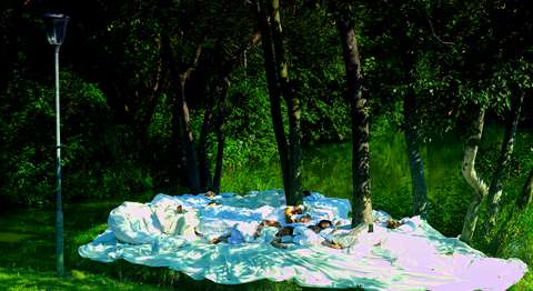 Vocal Naps: MELT